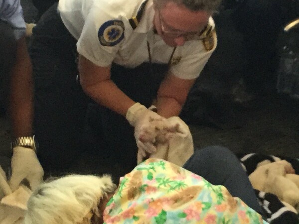 Συγκινητικές στιγμές στο αεροδρόμιο της Φλόριντα: Σκύλος γέννησε στην αίθουσα αναχωρήσεων