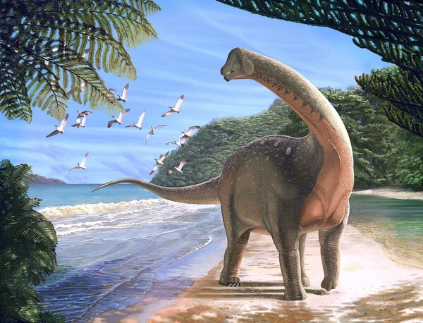 Σπάνιο απολίθωμα δεινοσαύρου ανακαλύφθηκε στην Αίγυπτο - Είχε μήκος λεωφορείου