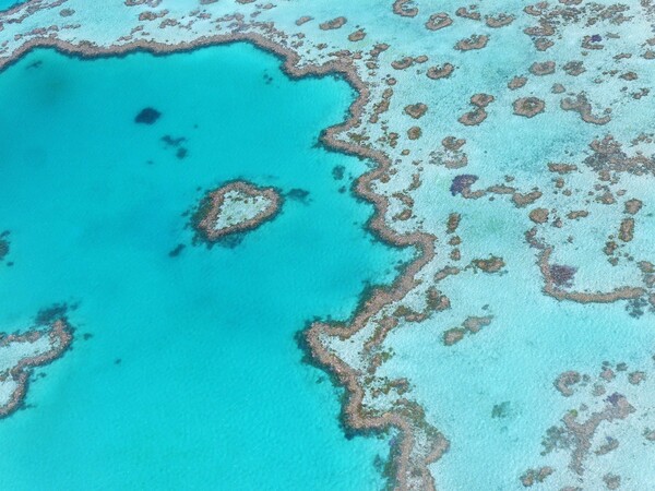 Δραματική προειδοποίηση: Η κλιματική αλλαγή θα έχει «σκοτώσει» όλους τους κοραλλιογενείς υφάλους έως το 2100