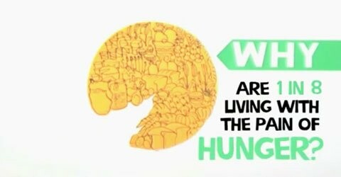 Αφού υπάρχει αρκετό φαγητό για όλους στον πλανήτη, γιατί 1 στους 8 ανθρώπους πεινάει;