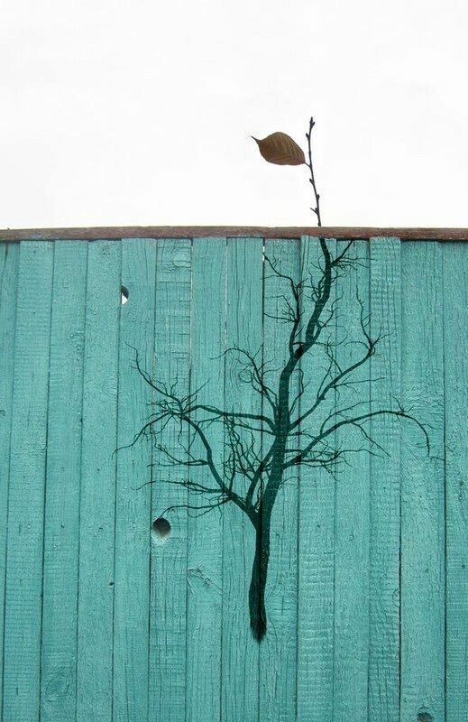 Όταν η street art συνεργάζεται με την φύση