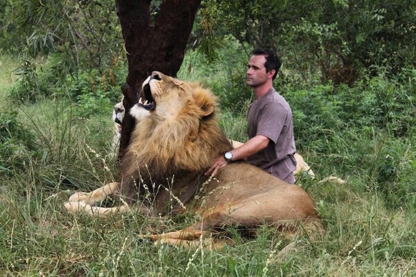 Kevin Richardson: Ο γητευτής των λιονταριών 