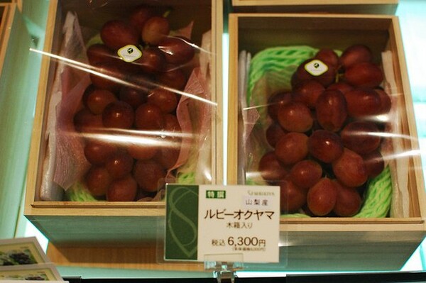 ΦΩΤΟΓΡΑΦΙΕΣ: Το πιο εξωφρενικά ακριβό «σαλόνι» φρούτων της Ιαπωνίας