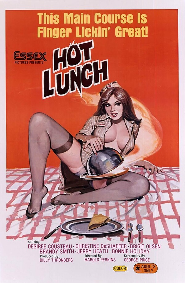 20 αφίσες ταινιών πορνό της δεκαετίας του '70