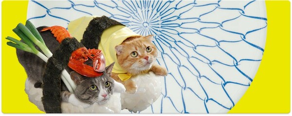 Sushi Cats: To πιο χαριτωμένο, ακαταλαβίστικο wtf των ημερών .