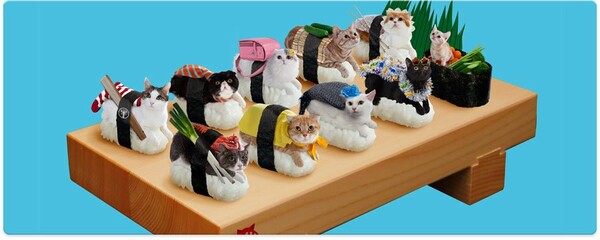 Sushi Cats: To πιο χαριτωμένο, ακαταλαβίστικο wtf των ημερών .