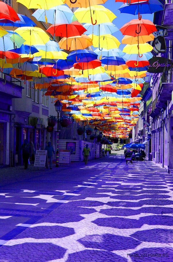 Πορτογαλία: Οι ομπρέλες που μεταμόρφωσαν μια μικρή πόλη 