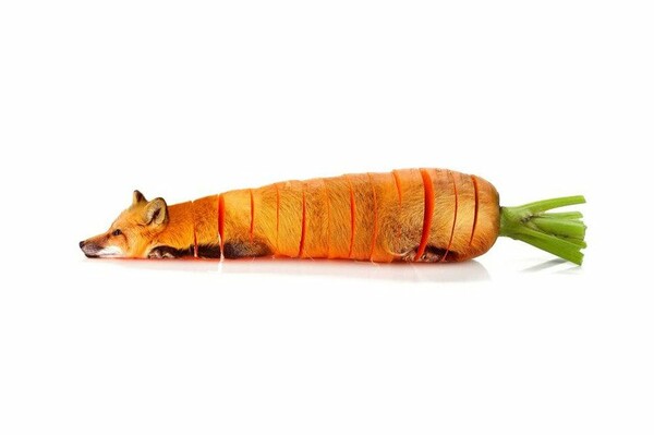 12 ζώα στο photoshop μαζί με φρούτα και λαχανικά