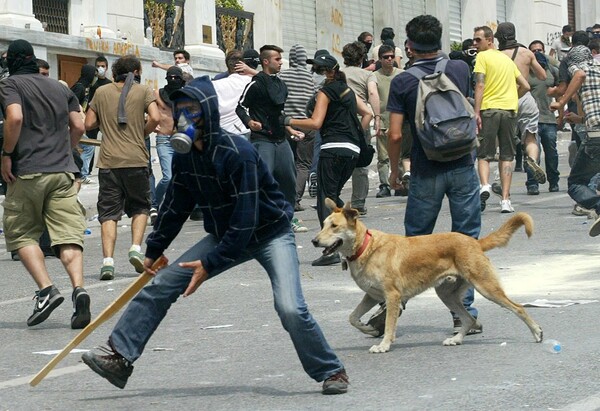 Η ζωή και ο θάνατος του Λουκάνικου, του σκύλου σύμβολο