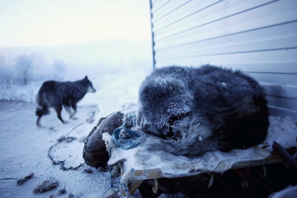 19 φωτογραφίες από το πιο παγωμένο μέρος του πλανήτη