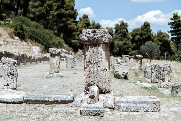 Αμφιάρειο: το δασωμένο ιερό ενός αρχαίου θεού και μάντη