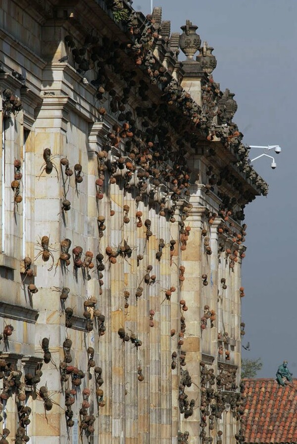 Τα δημόσια κτίρια της Κολομβίας γέμισαν μυρμήγκια!