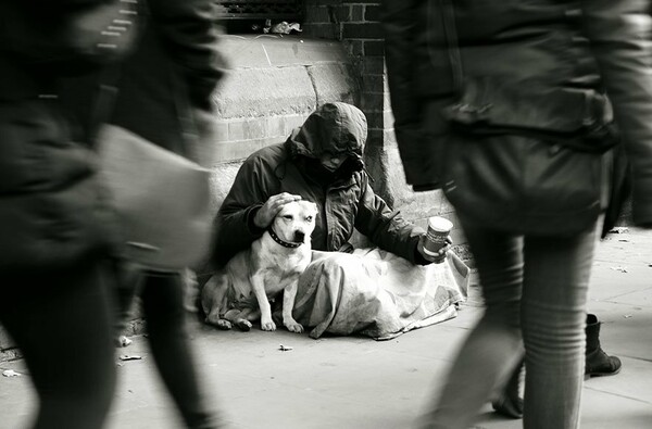 15 άστεγοι με τους σκύλους τους