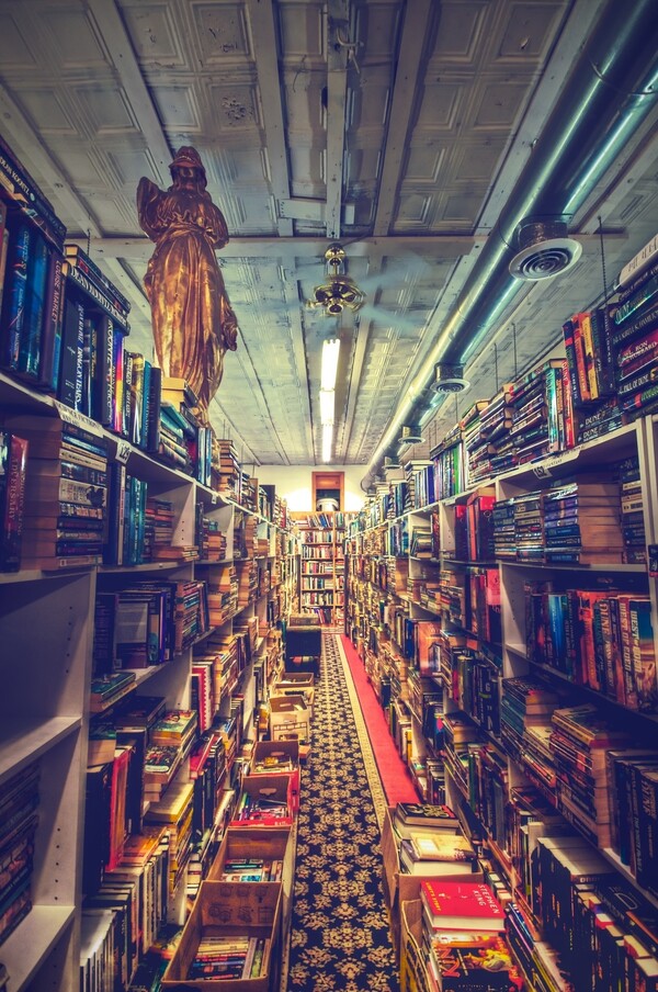 Bookshelf porn