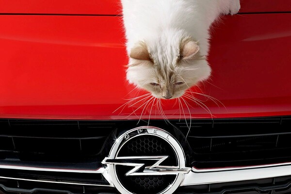 To νέο πρόσωπο της Opel είναι η γάτα του Karl Lagerfeld