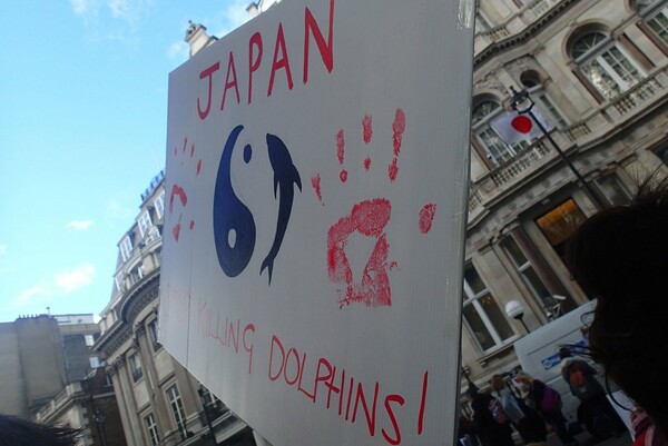 Κάποιοι νοιάζονται για τη σφαγή των δελφινιών