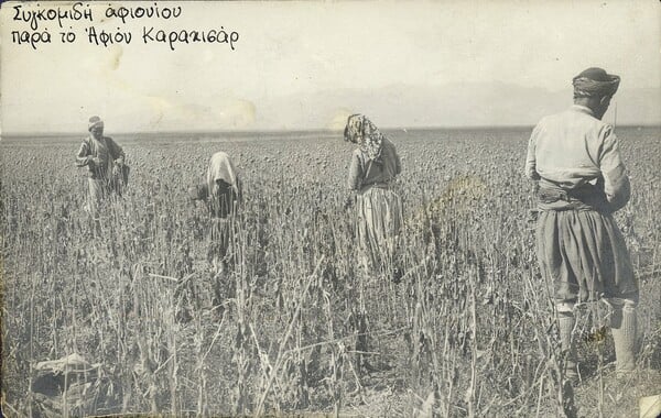 Η συναρπαστική φωτογραφική ιστορία της οικογένειας Νικολέρη στο LIFO.gr