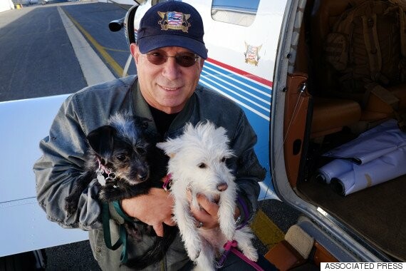 Πιλότοι που σώζουν σκυλιά από την ευθανασία