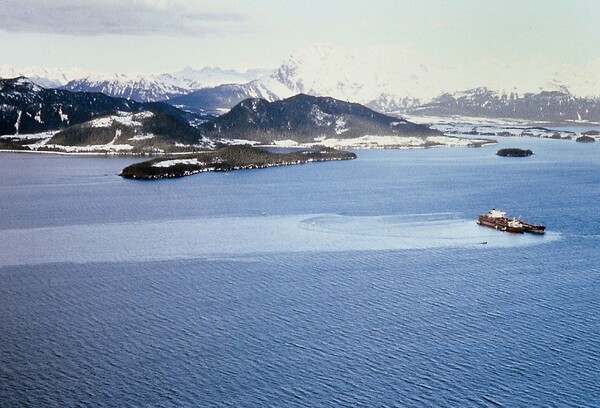Εxxon Valdez: Η πρώτη ασύλληπτη θαλάσσια καταστροφή στην Αμερική
