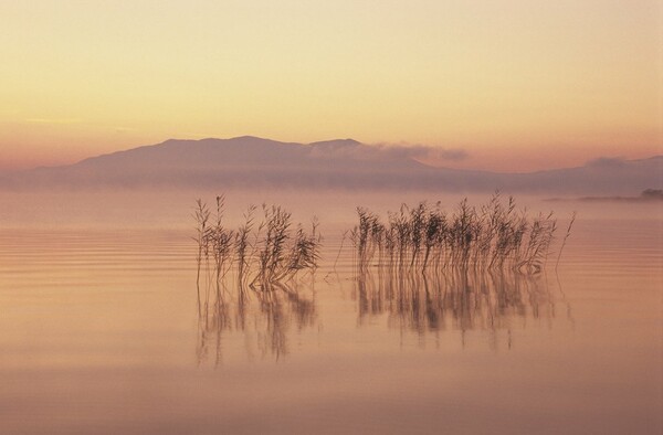 Η Ελλάδα μέσα από τα μάτια του WWF