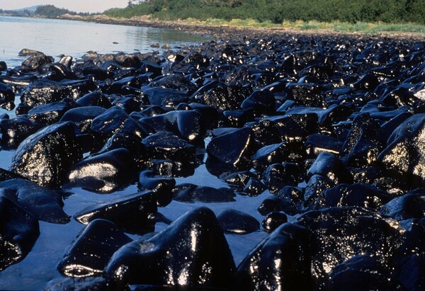 Εxxon Valdez: Η πρώτη ασύλληπτη θαλάσσια καταστροφή στην Αμερική