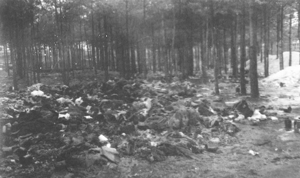 Σπάνια ντοκουμέντα από το στρατόπεδο συγκέντρωσης Μπέργκεν - Μπέλζεν