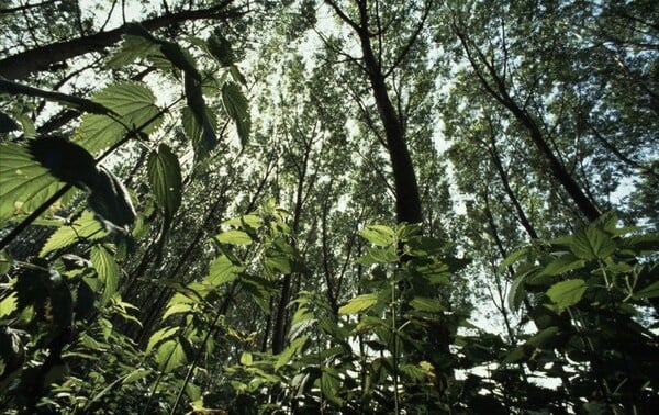 Η Ελλάδα μέσα από τα μάτια του WWF