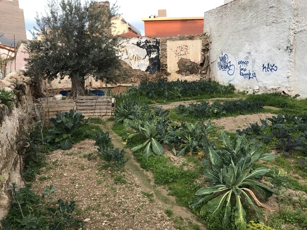 Όταν έδερνα τα μπρόκολα. Από τον Στάθη Τσαγκαρουσιάνο