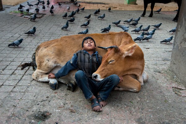 10 φωτογραφίες του Steve McCurry σαν μυθιστόρημα