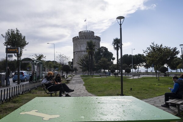 Θεσσαλονίκη: Φιλόζωοι έφτιαξαν σπίτι για αδέσποτο σκύλο - Είναι αδιάβροχο και «βλέπει» τον Λευκό Πύργο