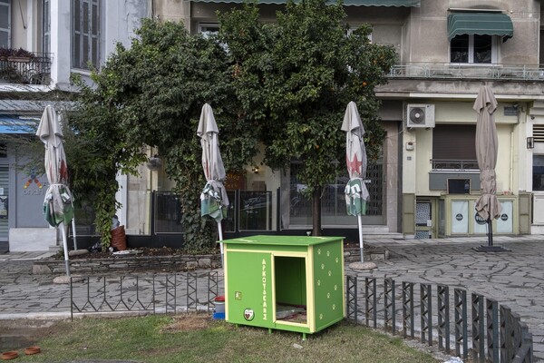 Θεσσαλονίκη: Φιλόζωοι έφτιαξαν σπίτι για αδέσποτο σκύλο - Είναι αδιάβροχο και «βλέπει» τον Λευκό Πύργο