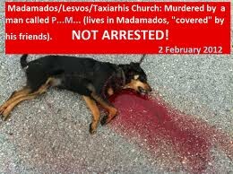 Συλλογή υπογραφών για να τιμωρηθεί ο δολοφόνος ενός σκυλιού