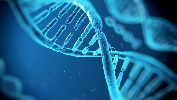 Το 92% του DNA μας δεν χρησιμεύει πουθενά