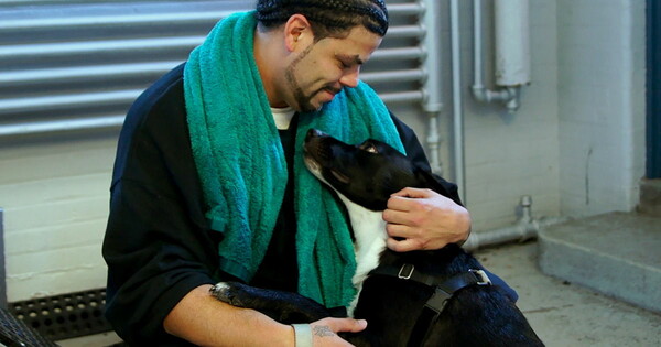 Φυλακή στη Μασαχουσέτη ζήτησε στους κρατούμενους να φροντίσουν αδέσποτους σκύλους