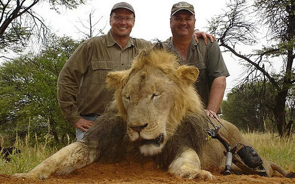 Οδοντίατρος από τη Μινεσότα ο κυνηγός που σκότωσε τον Cecil, το διάσημο λιοντάρι της Ζιμπάμπουε