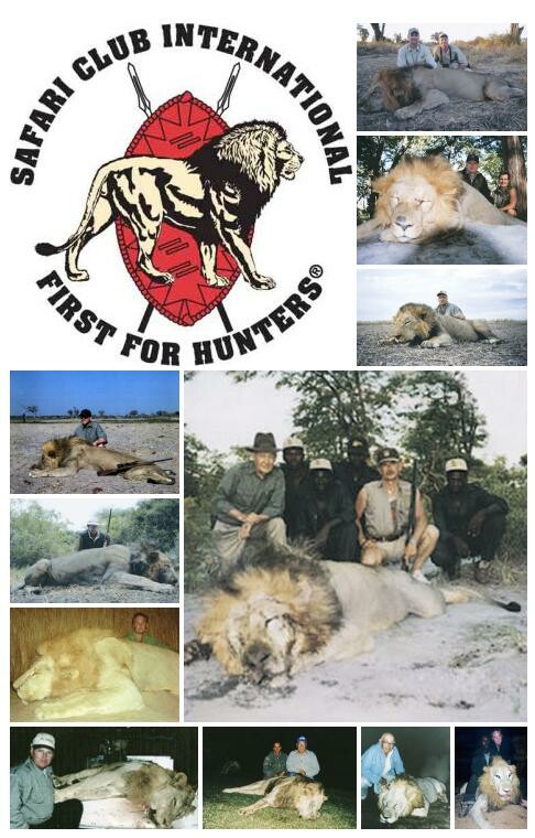 600 λιοντάρια κάθε χρόνο σκοτώνουν οι αμερικανοί τουρίστες στην Αφρική