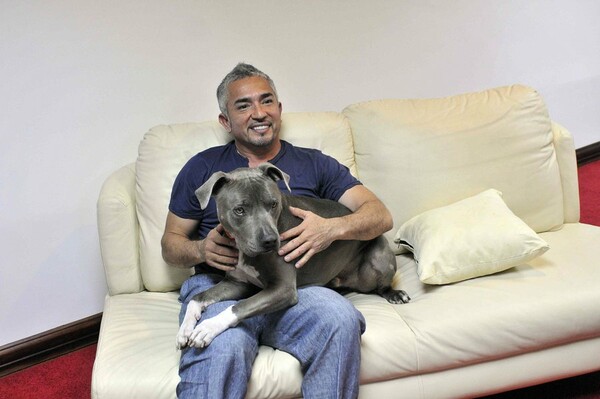Για κακομεταχείριση ζώων κατηγορείται ο "Dog Whisperer" Cesar Millan