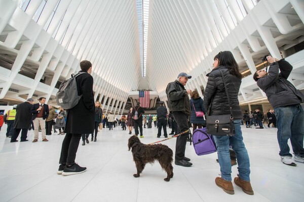 Οι πρώτες εικόνες από τον νέο, ολόλευκο σταθμό του μετρό στη Νέα Υόρκη που είναι ο ακριβότερος του κόσμου