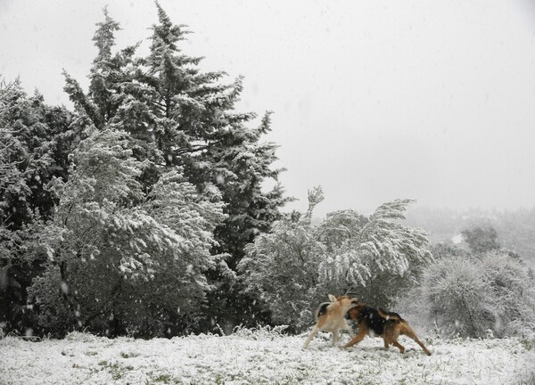 Χιόνια στο Ωραιόκαστρο Θεσσαλονίκης