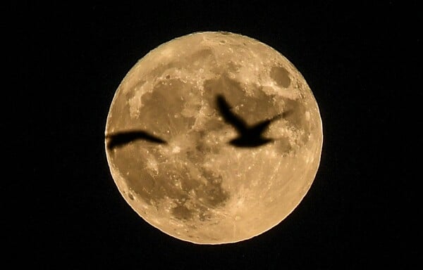 Supermoon: Η μεγαλύτερη Πανσέληνος των τελευταίων 70 ετών φωτίζει τον πλανήτη