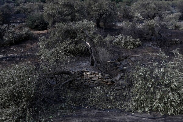 Τα καμένα σπίτια στο γραφικό, ορεινό Καζαβίτι της Θάσου