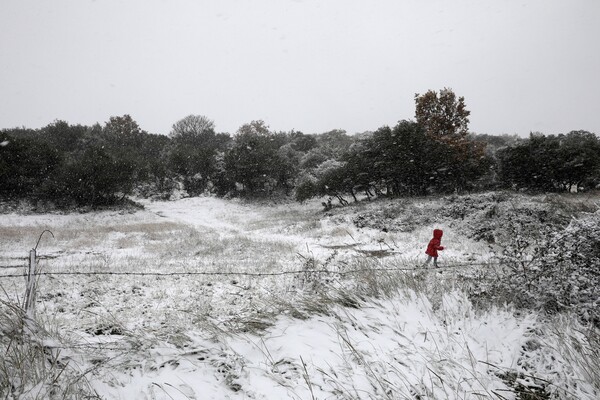 O Χορτιάτης στα λευκά - Το χιόνι ξεκίνησε από τη Θεσσαλονίκη