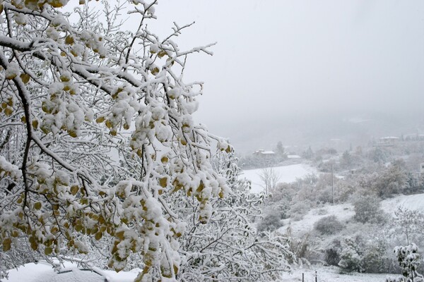 Χιόνια στο Ωραιόκαστρο Θεσσαλονίκης