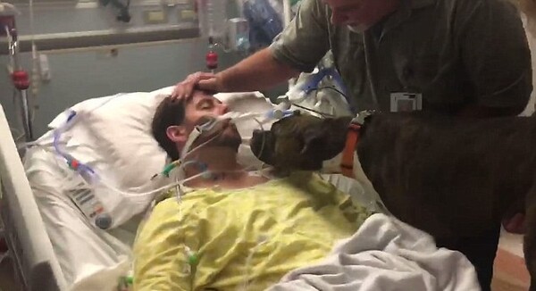 Η συγκινητική στιγμή που ένας σκύλος επισκέπτεται το ετοιμοθάνατο αφεντικό του στο νοσοκομείο