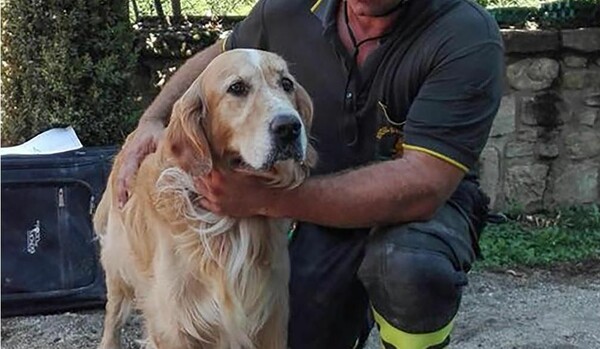 Ο σκύλος που βρέθηκε ζωντανός μετά από 9 μέρες στα χαλάσματα του σεισμού στην Ιταλία