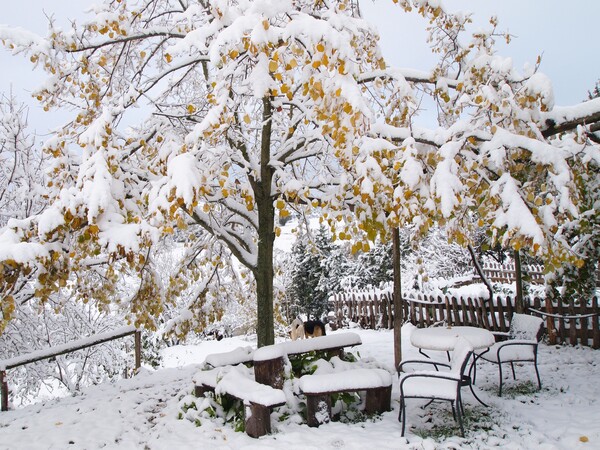 13 σημερινές φωτογραφίες απ' τα χιονισμένα περίχωρα της Θεσσαλονίκης