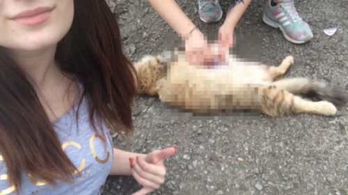 Οργή στη Ρωσία για νεαρές που πόσταραν video με σοκαριστικά βασανιστήρια σε ζώα