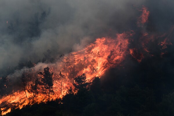 Μεγάλη πυρκαγιά σε δασική έκταση στις Μαριές Ζακύνθου