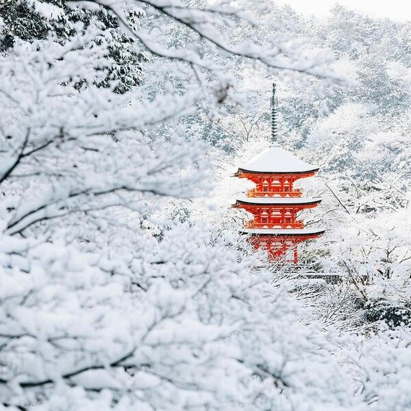 Λευκές μέρες στο Κιότο