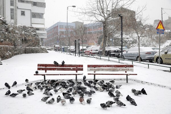 35 φωτογραφίες από τη Θεσσαλονίκη στα λευκά - Το χιόνι κάλυψε τον Λευκό Πύργο και τη Νέα Παραλία